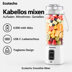 Ecotecho-Smoothie-Mixer